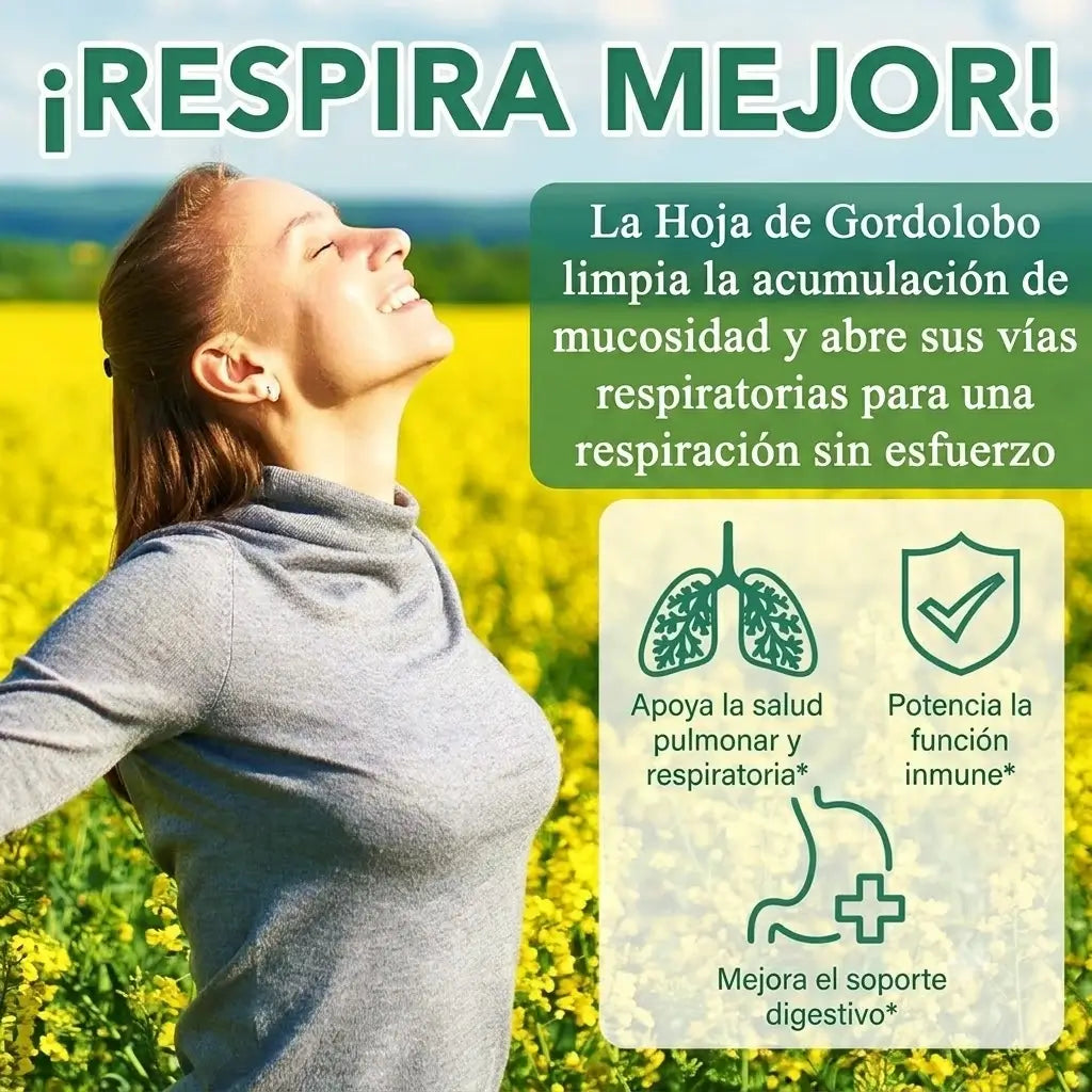Gominolas de gordolobo: Desintoxicación Pulmonar & Salud Respiratoria