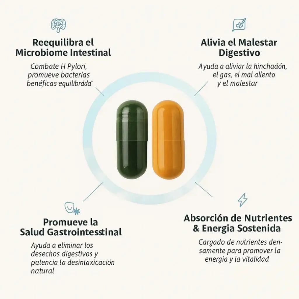 Equilibrio Intestinal y Desintoxicación Profunda - Cero Hinchazón ni Pesadez