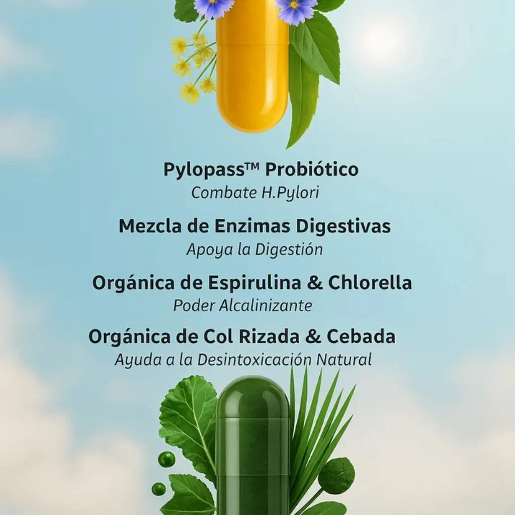 Equilibrio Intestinal y Desintoxicación Profunda - Cero Hinchazón ni Pesadez