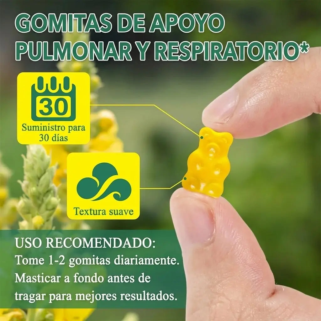 Gominolas de gordolobo: Desintoxicación Pulmonar & Salud Respiratoria